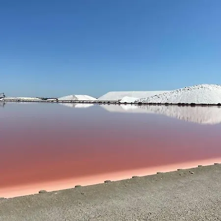 Spacieuse Avec Piscine Proche Pic Saint Loup Prades-le-Lez